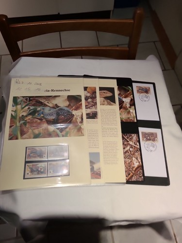 Wwf capitolo completo 427 - capitolo,