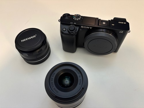 Sony α6000 2 obiettivi - sony,