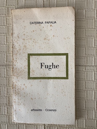 Caterina papalina fight - caterina,