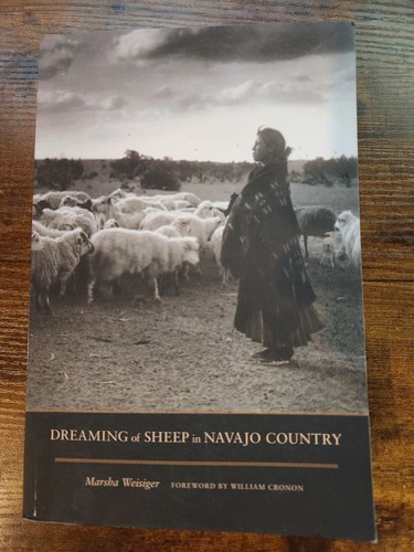 Dreaming sheep navajo - in,