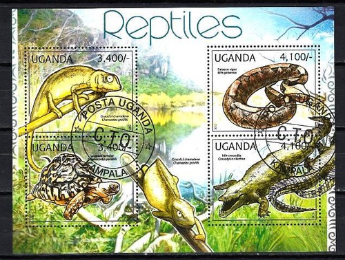 Animali rettili uganda 2012 - animali,