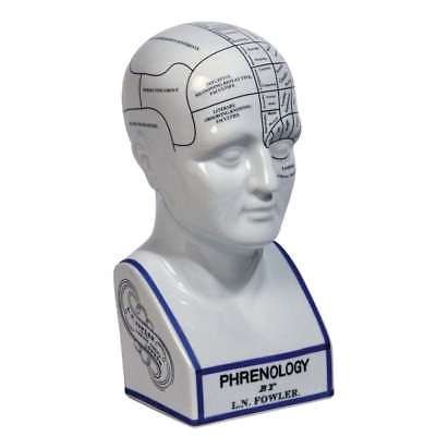 Testa frenologia art - frenologia,
