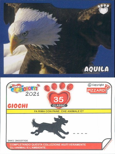Amici cucciolotti edizione - *amici,
