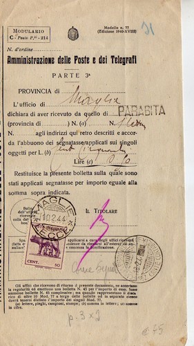 Lupa bari tipo usato - i°,