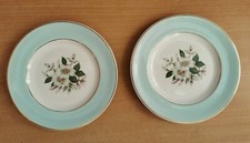 2 piastre Johnson Brothers Pareek bianco neve cerchio pistacchio 16 cm/6,5 pollici