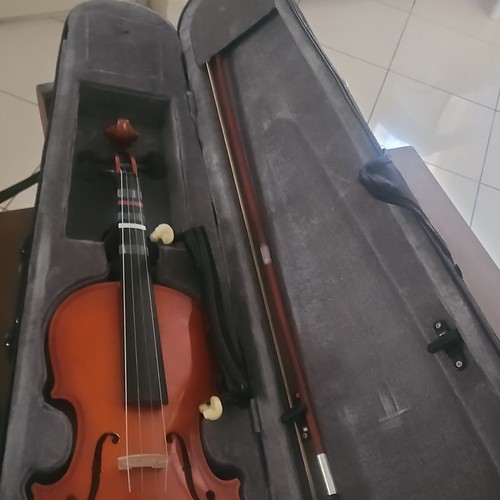 Violino con custodia - violino,