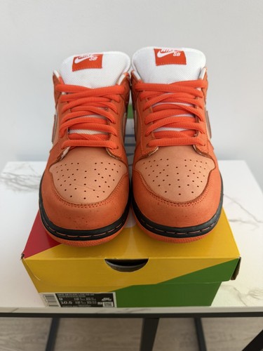 Nike dunk low concepts - nike, sb