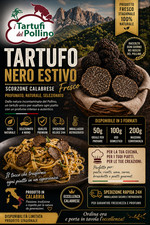 Tartufo nero estivo - nero, fresco