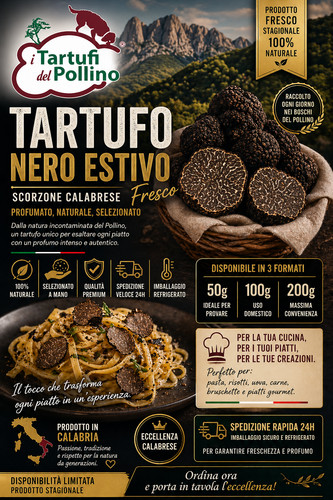 Tartufo nero estivo - tartufo, fresco