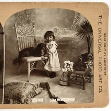 Bambole vittoriane cane e