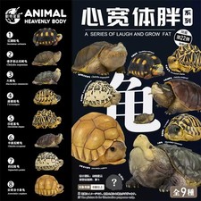 Animal planet tartaruga serie - animal,