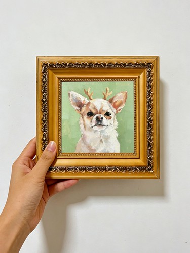 Chihuahua con corna renna - chihuahua,