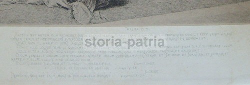 PUGLIA_TRANI_NAPOLI_ARTE