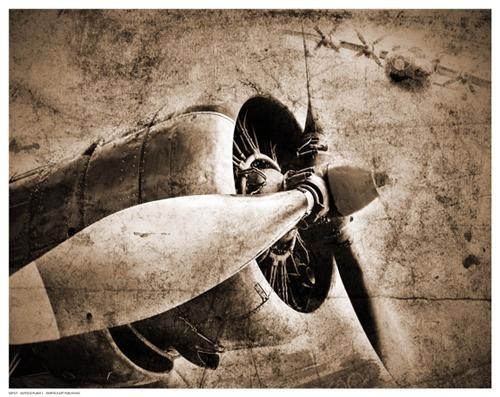 Anonymous antique plane - antique,