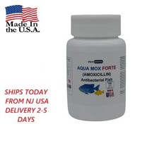 Pesce marino acquatico per