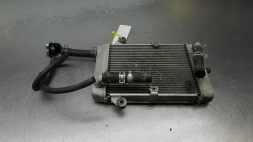 Gruppo radiatore