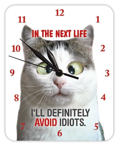 Next life ll - in,