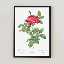 Stampa artistica da parete