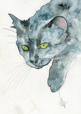 Dipinto originale ad acquerello firmato di gatto