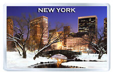 New York Winter Fridge Magnet