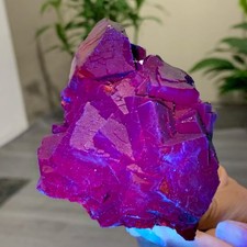 456G rosa nera naturale fluorescente cubo fluorite esemplare bagliore sotto luce UV