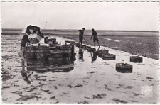 BASSIN D'ARCACHON - FRANCIA - FRANCE -27843-