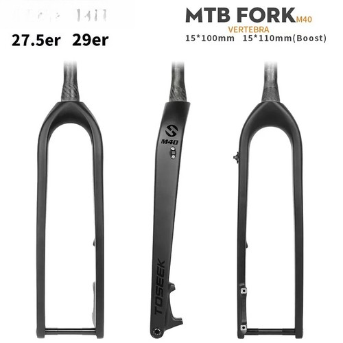 Forcella boost carbonio - ,
