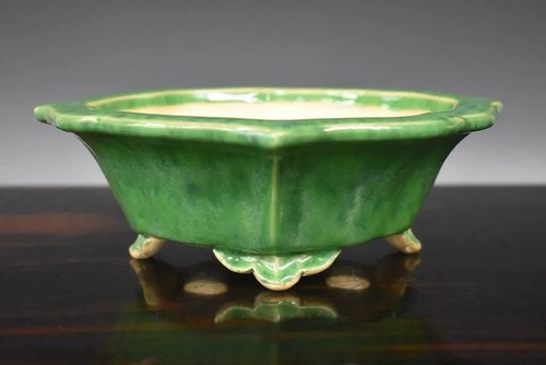 Vaso per bonsai - , giapponese