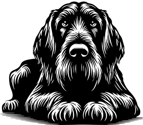 Adesivo spinone italiano - spinone,