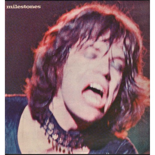 The rolling stones vinile - the,