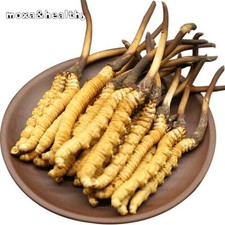 Wild cordyceps sinensis - cordyceps,