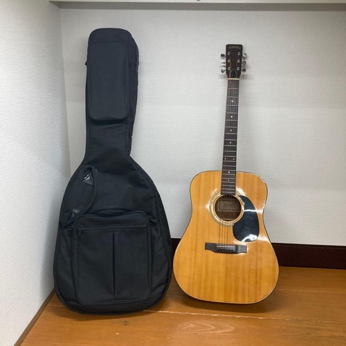 Chitarra acustica sonoro w100 - chitarra,