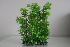 Acquario Verde Siepe Stile