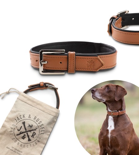 Jack russell premium collare - ,