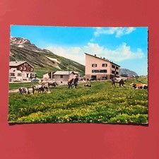 VALLE D' AOSTA - COLLE DEL
