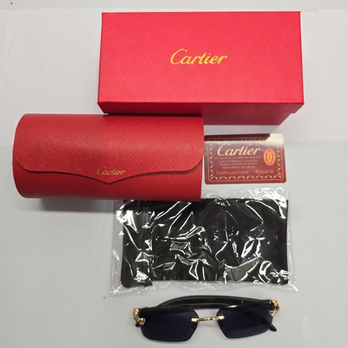Occhiali sole cartier - sole,