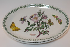 2 diversi piatti ovali