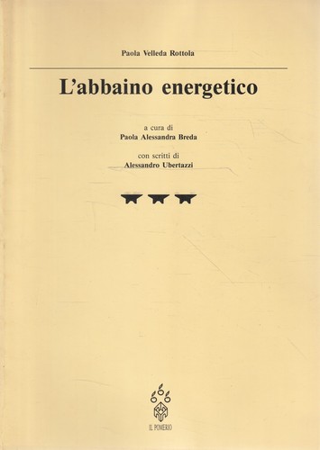 Abbaino energetico - l'abbaino,