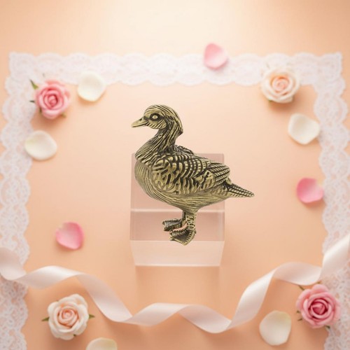 Pezzi coppia anatre - di,