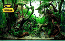 Acquario d'acqua dolce sfondo