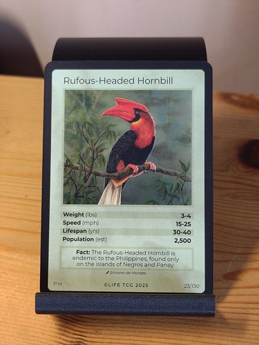 Life tcg birds holo 23 - tcg,