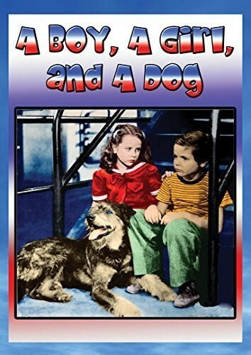 Dvd boy girl and a - dvd,