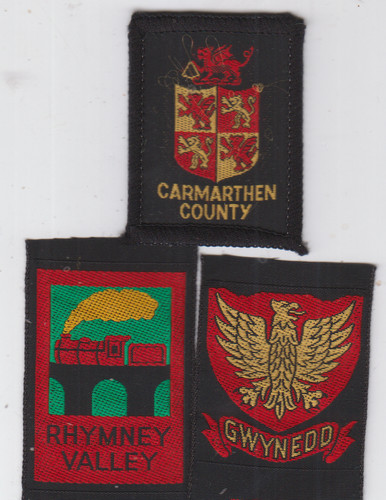 Boy scout badges - scout, ext