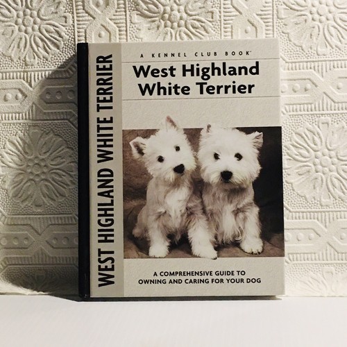West highland white - white, terrier