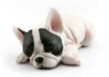 Bulldog francese cane animale