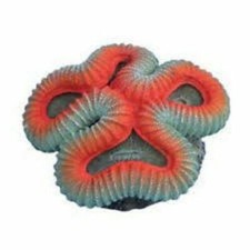 Decorazione corallo finto
