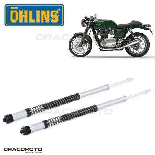 Triumph thruxton 1200 - triumph,
