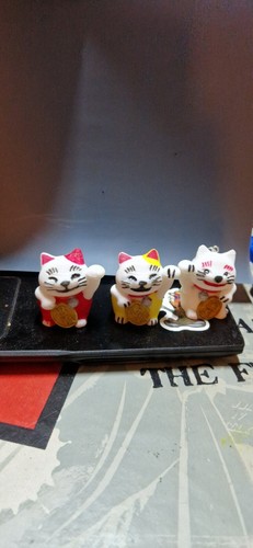 Gatto porta fortuna - gatto,