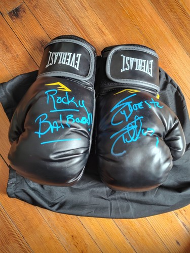 Guantoni boxe sylvester - guantoni,
