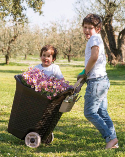 Cesta carriola trolley - cesta,